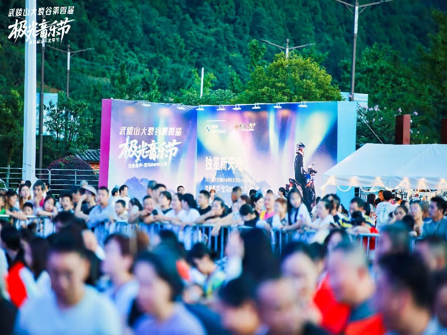 音樂節策劃公司 (4)